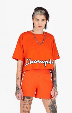 Camiseta Champion Cropped Script Logo T-Shirt Naranjas | 3160-NJLFR