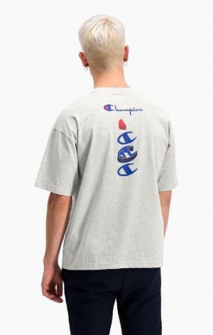 Camiseta Champion Products Inc. Logo T-Shirt Gris Claro | 0735-VUBIO