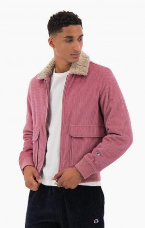 Chaquetas Champion Corduroy Teddy Collar Bomber Jacket Fucsia | 8103-KVSWY