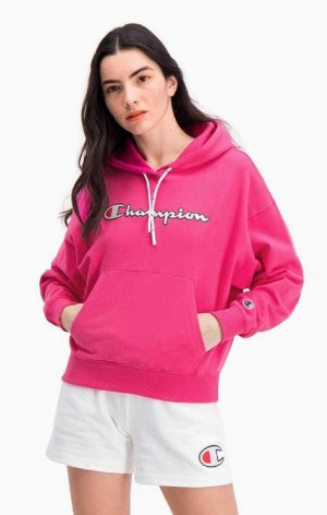 Sudadera con Capucha Champion Logo Algodon Terry Hoodie Rosas Oscuro | 7209-DVECF