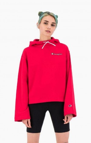 Sudadera con Capucha Champion Satin Stitch Script Logo Hoodie Rojas | 8357-FITRW