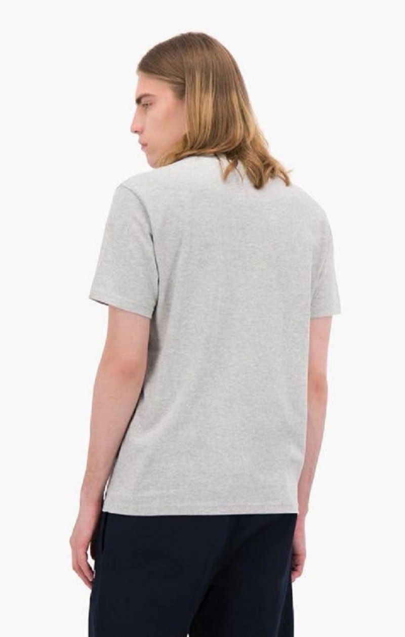 Camiseta Champion Archive Centenary Print T-Shirt Gris Claro | 2147-FMQJC