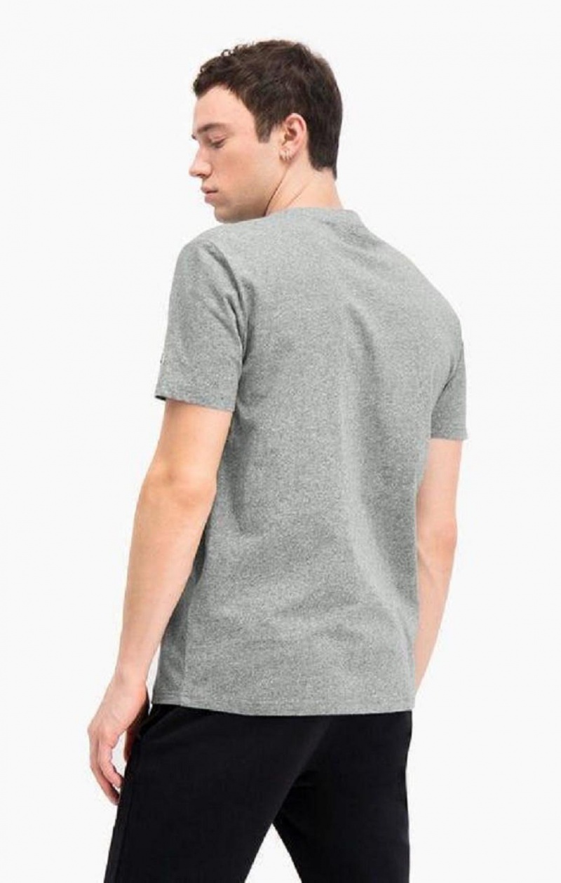 Camiseta Champion Calle Sports Estampadas Print T-Shirt Gris Oscuro | 5089-YQODW