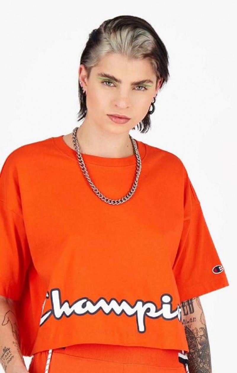 Camiseta Champion Cropped Script Logo T-Shirt Naranjas | 3160-NJLFR