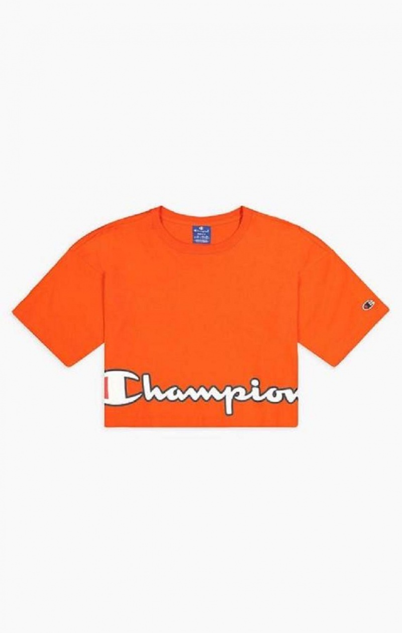 Camiseta Champion Cropped Script Logo T-Shirt Naranjas | 3160-NJLFR