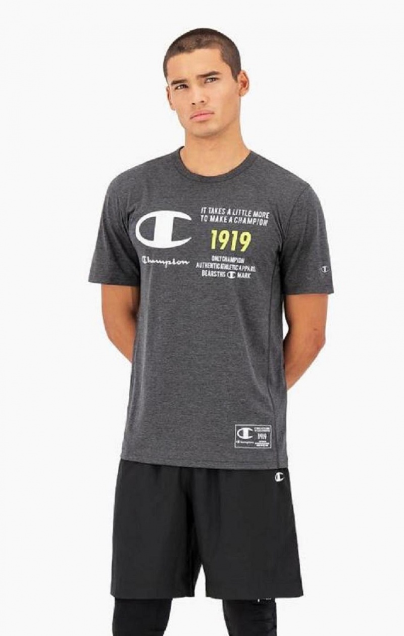 Camiseta Champion Logo Print Jersey T-Shirt Gris Oscuro | 0621-NCDJO