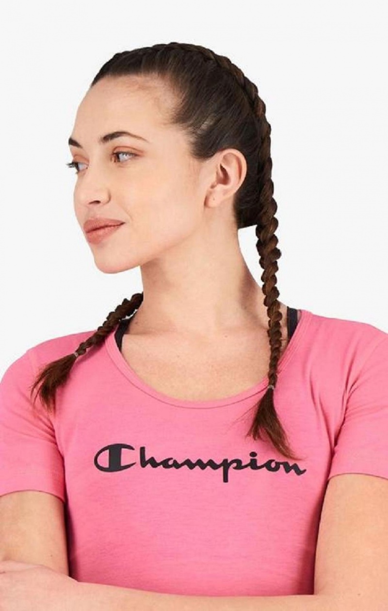 Camiseta Champion Script Logo Quick Dry Entrenamiento T-Shirt Fucsia | 1925-GBZYP