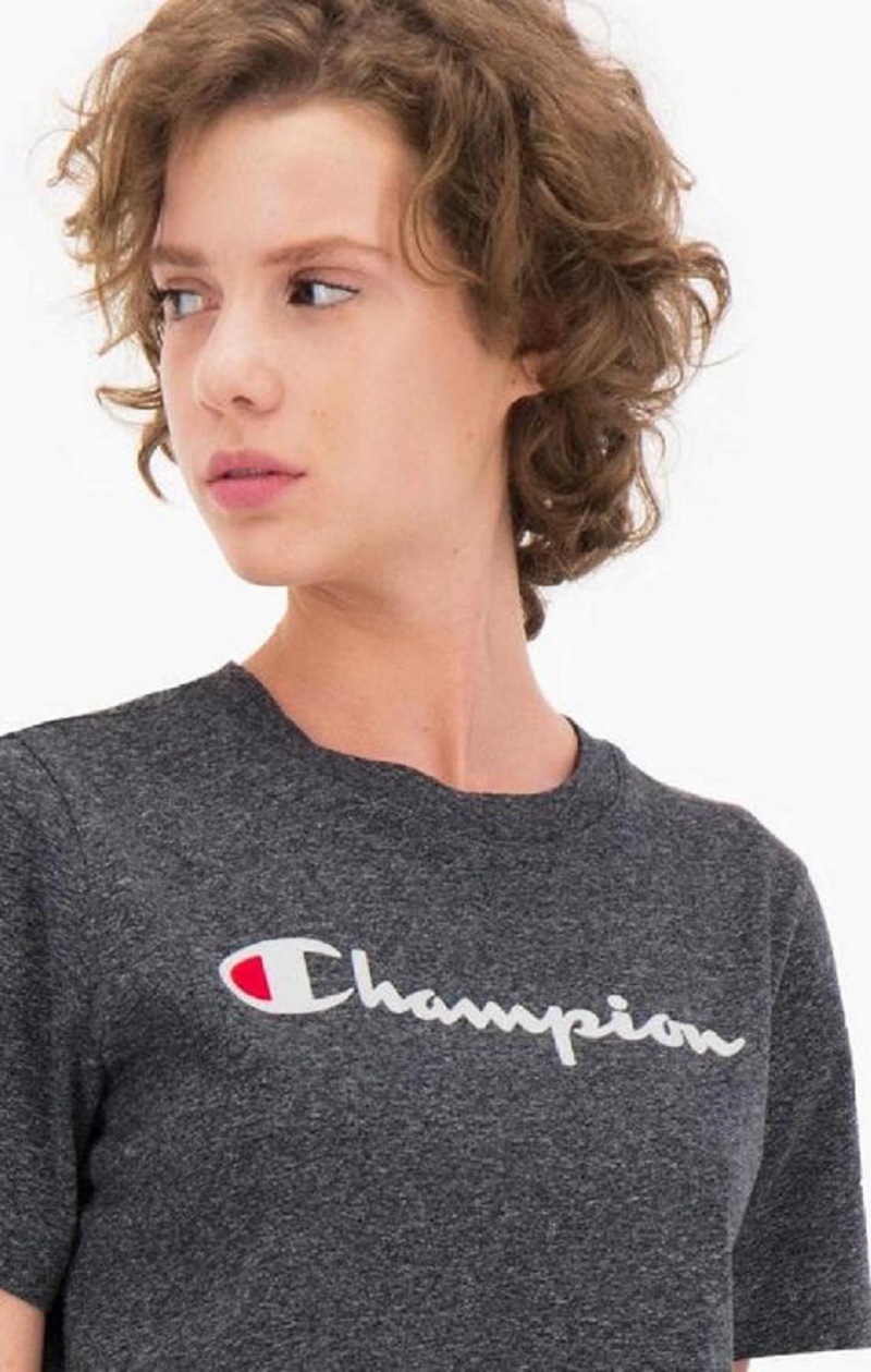 Camiseta Champion Velvet Script Logo T-Shirt Gris Claro | 6539-YDPOZ