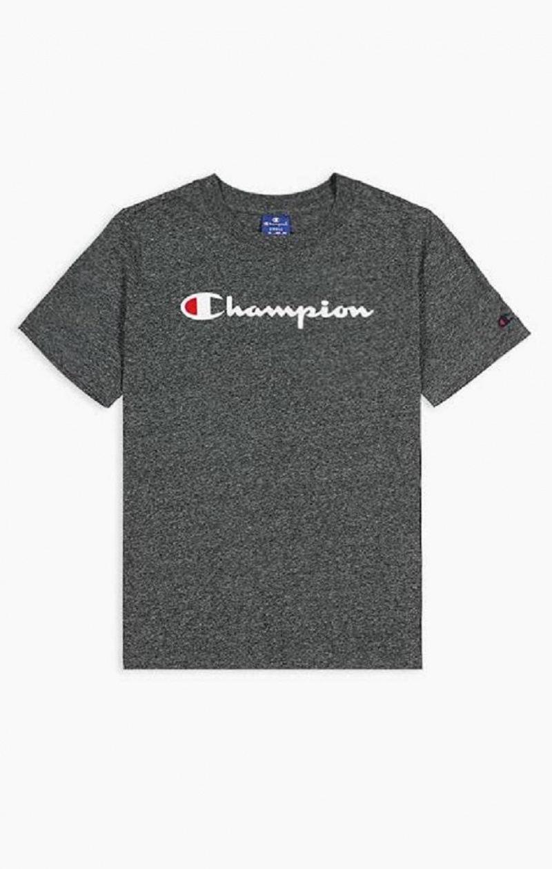 Camiseta Champion Velvet Script Logo T-Shirt Gris Claro | 6539-YDPOZ