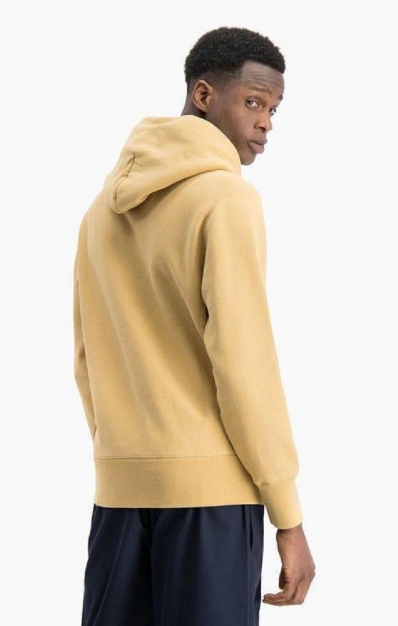 Sudadera con Capucha Champion Acid Wash Reverse Weave Hoodie Beige | 2039-FZPUG