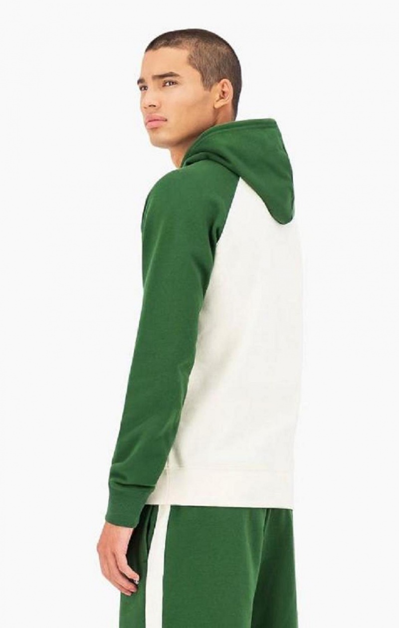 Sudadera con Capucha Champion Colour Block Script Logo Hoodie Verde Blancas | 6917-UCJSM