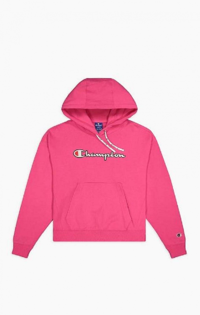 Sudadera con Capucha Champion Logo Algodon Terry Hoodie Rosas Oscuro | 7209-DVECF