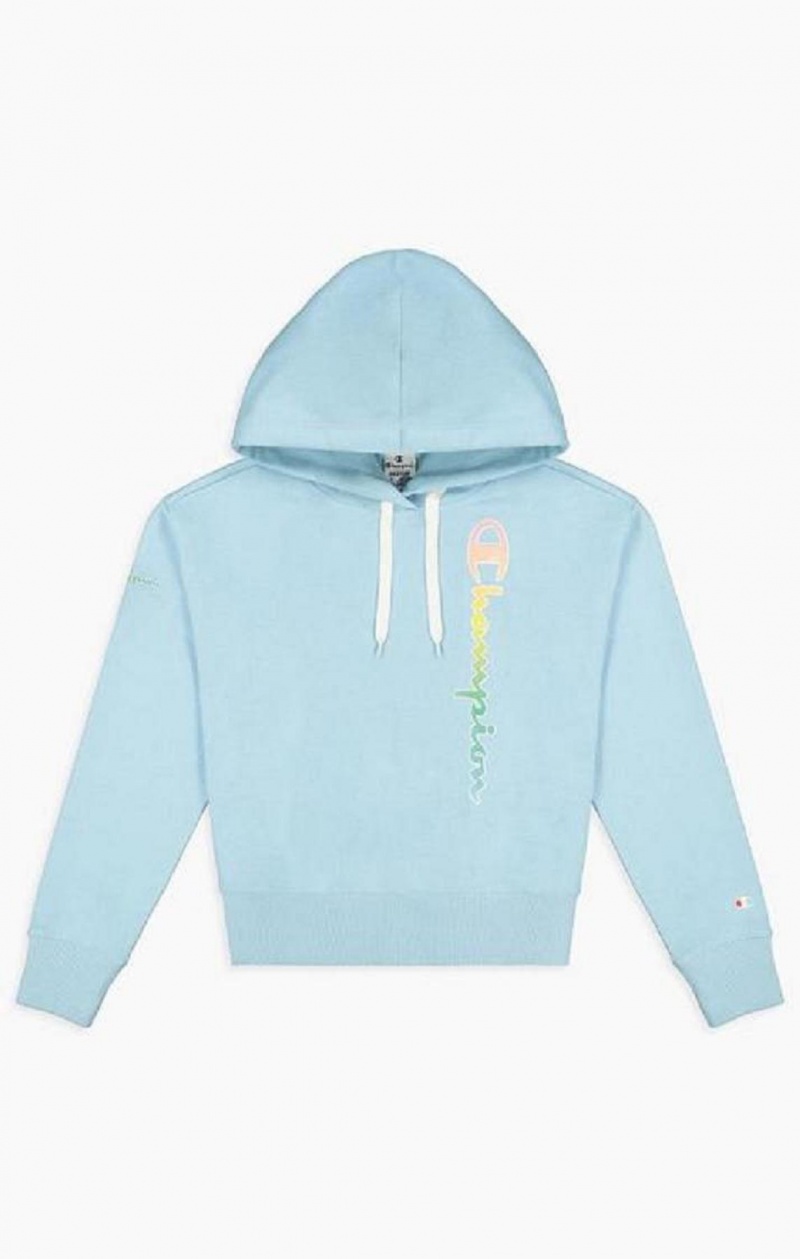 Sudadera con Capucha Champion Rainbow Script Logo Hoodie Azules Claro | 2148-TMHIE