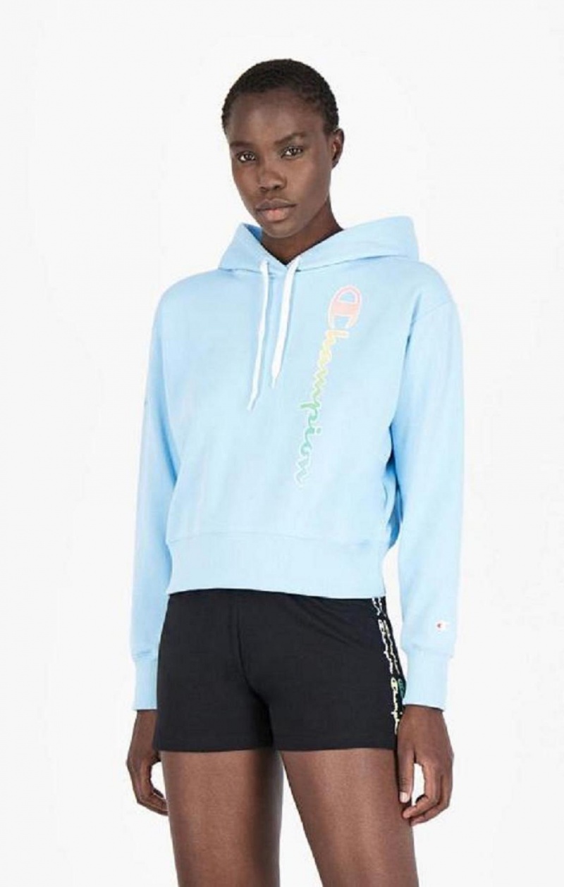 Sudadera con Capucha Champion Rainbow Script Logo Hoodie Azules Claro | 2148-TMHIE