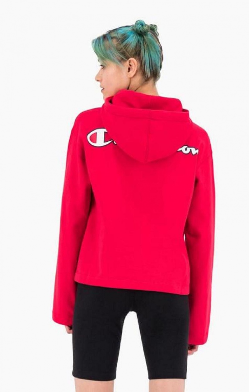 Sudadera con Capucha Champion Satin Stitch Script Logo Hoodie Rojas | 8357-FITRW