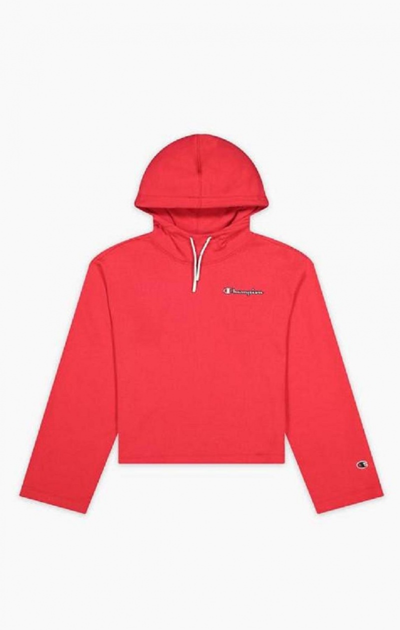 Sudadera con Capucha Champion Satin Stitch Script Logo Hoodie Rojas | 8357-FITRW