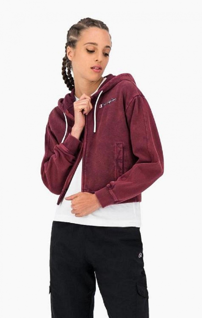 Sudadera con Capucha Champion Satin Stitch Script Logo Hoodie Moradas Oscuro | 7912-YSPZX