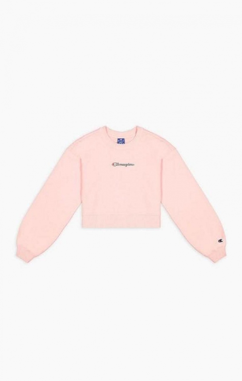 Sudaderas Champion Script Logo Cropped Boxy Sweatshirt Rosas | 5604-CLAFP