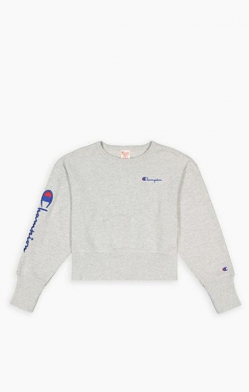 Sudaderas Champion Script Logo High Rib Reverse Weave Sweatshirt Gris Claro | 6193-NBAVD